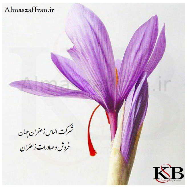 هزینه زعفران